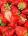 5856 FRAISES DREAM.jpg