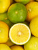 5950_BERGAMOTE.png