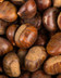 6012_Marrons Italie.jpg