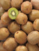 6210_Kiwi.jpg