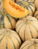 6304 Melon Philibon.jpg