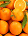 6490 ORANGE AVEC FEUILLE NON TRAITEES.jpg