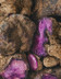7126 Ube fresh.jpg