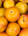 7610_Prunes rose Plum.jpg