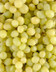 7705 RAISIN BLANC.jpg
