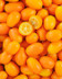 7851 Kumquat.jpg