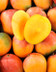 7858 MANGUE SELECTION.jpg