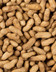 7895_Arachide fraîche.jpg