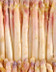 8060 ASPERGES BLANCHE VIOLETTE GROSSE.jpg