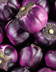 8152 AUBERGINE RONDE.jpg