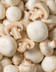 8298_Champignon Pc France.jpg