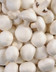 8306 Le Champignon geant.jpg