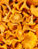 8307 GIROLLES.jpg