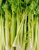 8351 Celeri Vert France.jpg