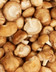 8365_SHIITAKES.png