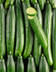 8379 CONCOMBRE.jpg