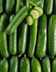 8393 Concombre Selection.jpg