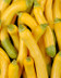 8424 COURGETTE ZEPHYR.jpg