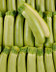 8446 COURGETTE BLANCHE ALLONGEE.jpg