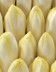 8470_Endive.jpg