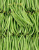 8550 HARICOT VERT.jpg