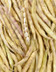 8580 HARICOT COCO BLANC.jpg