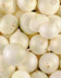 8660 OIGNON BLANC.jpg