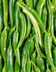 8771 PIMENT VERT.jpg