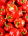 8840 POIVRON ROUGE.jpg