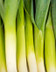 8925_mini_légumes_panache_poireaux.jpg