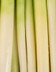 9005_Poireau vinaigrette.jpg