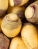 9190_Rutabaga.jpg