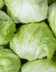 9315_Salade Iceberg.jpg