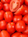 9334 TOMATES OLIVETTE.jpg