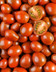 9337 TOMATES CERISES NOIRES ALLONGEES.jpg