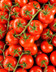 9338 Tomate grappe Avalantino HVE.jpg