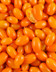 9341 TOMATE CERISE ORANGE.jpg