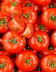 9392 TOMATES DIVINA.jpg