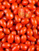 9399 TOMATE CERISE ALONGEE MAROC.jpg