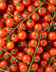 9401 TOMATE CERISE GRAPPE.jpg