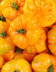 9504 TOMATE MARGOLD ANANAS.jpg