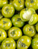 9519 TOMATES TIVERTA.jpg