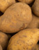 9561_pdt_non_lavees1.jpg