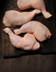 B615 CUISSE DE POULET BLANC SS OGM 1KG.jpg