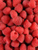 FRAMBOISE.jpg