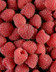 FRAMBOISE-TULAMEEN.jpg