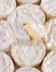 LOQ4 CAMEMBERT 100% LAIT NORMAND.jpg