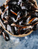 M01I MOULES CORDE ESPAGNE.jpg