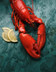 M686 HOMARD EUROPEEN CUIT 400G.jpg
