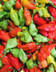Piment végétal.jpg